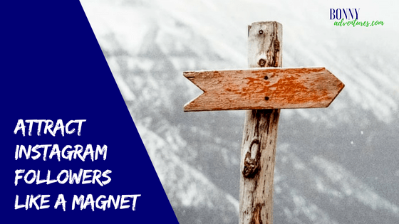 Attract Instagram Followers Like a Magnet